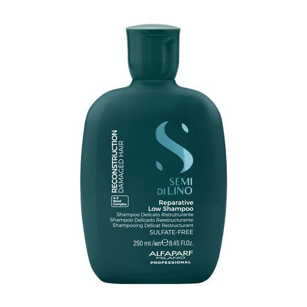 Șampon reparator cu efect de reparare ușoară 250 ml